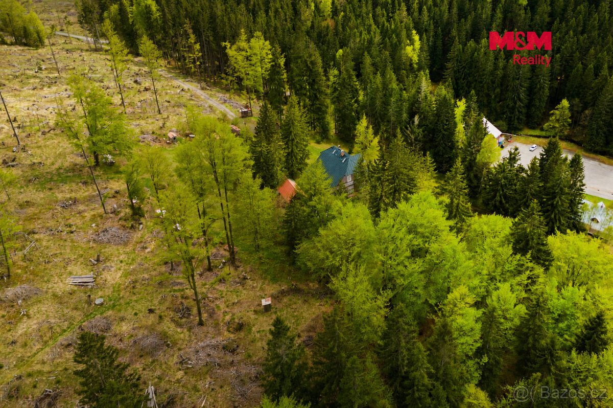 Prodej louky, 8167 m², Harrachov