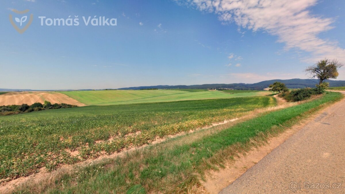 Prodej polí s dobrou bonitou – 2,6 ha – Skalka u Kyjova