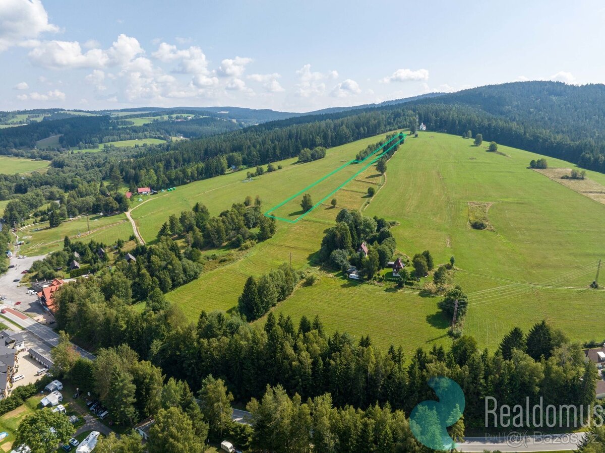 Prodej, pozemek pro komerční využití, 10.831 m2, Frymburk