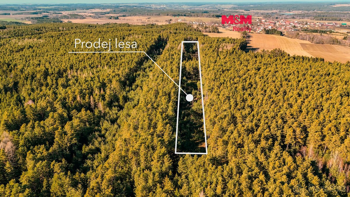Prodej lesa, 18382 m², Olešnice u Trhových Svinů