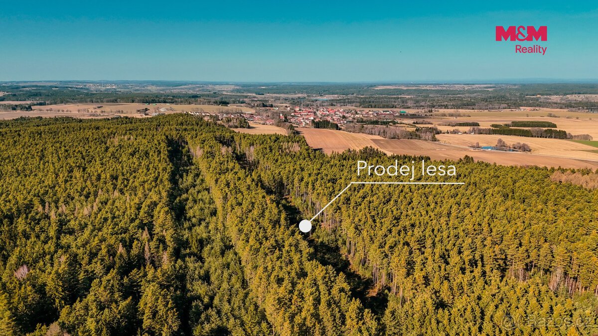 Prodej lesa, 18382 m², Olešnice u Trhových Svinů