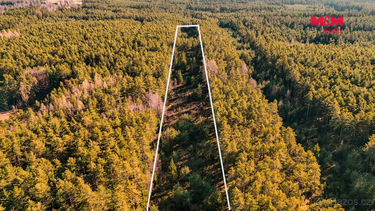 Prodej lesa, 18382 m², Olešnice u Trhových Svinů