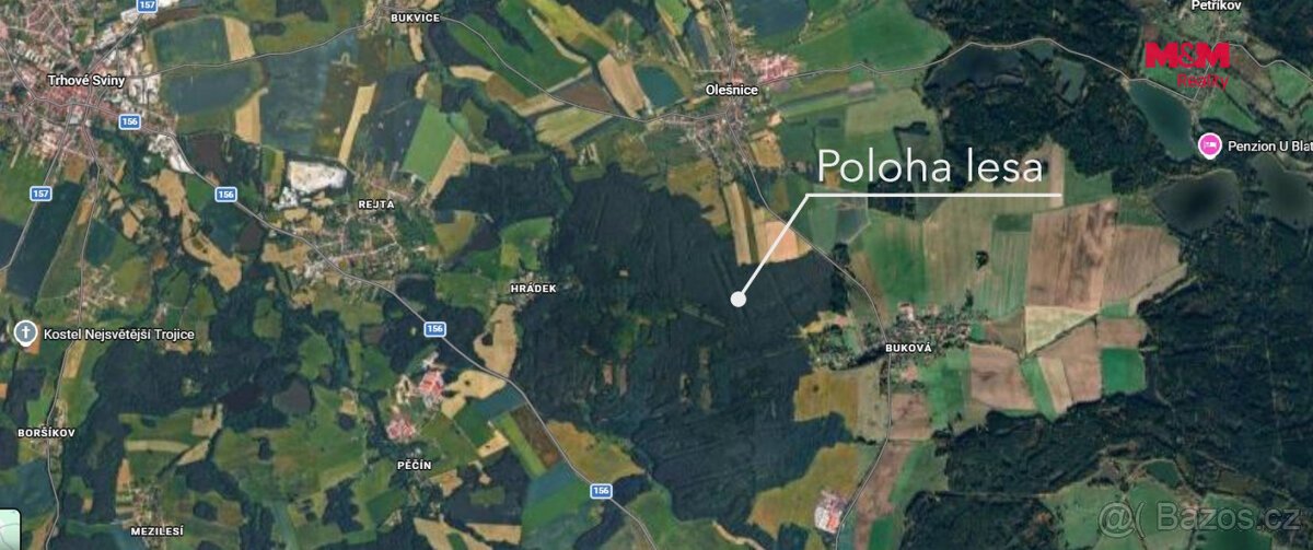 Prodej lesa, 18382 m², Olešnice u Trhových Svinů