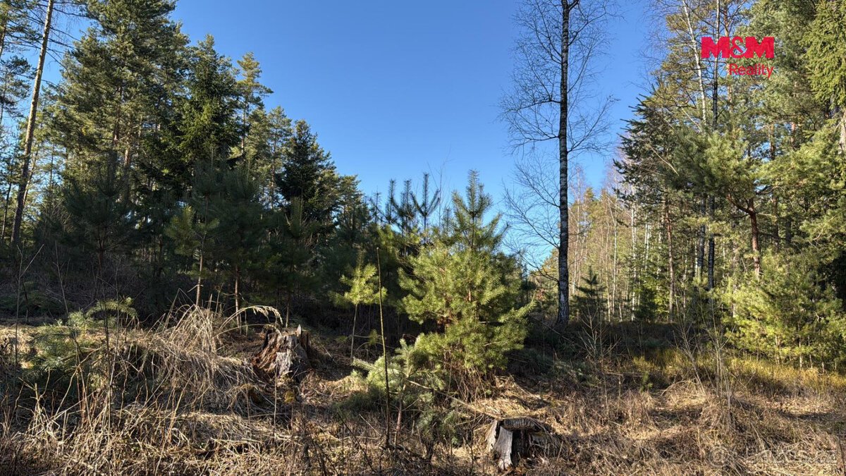 Prodej lesa, 18382 m², Olešnice u Trhových Svinů
