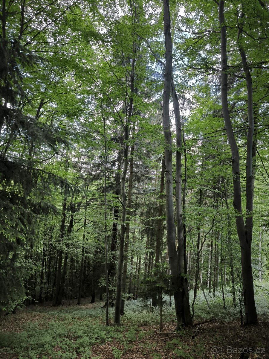 Prodej pozemků k.ú. Nový Hrozenkov