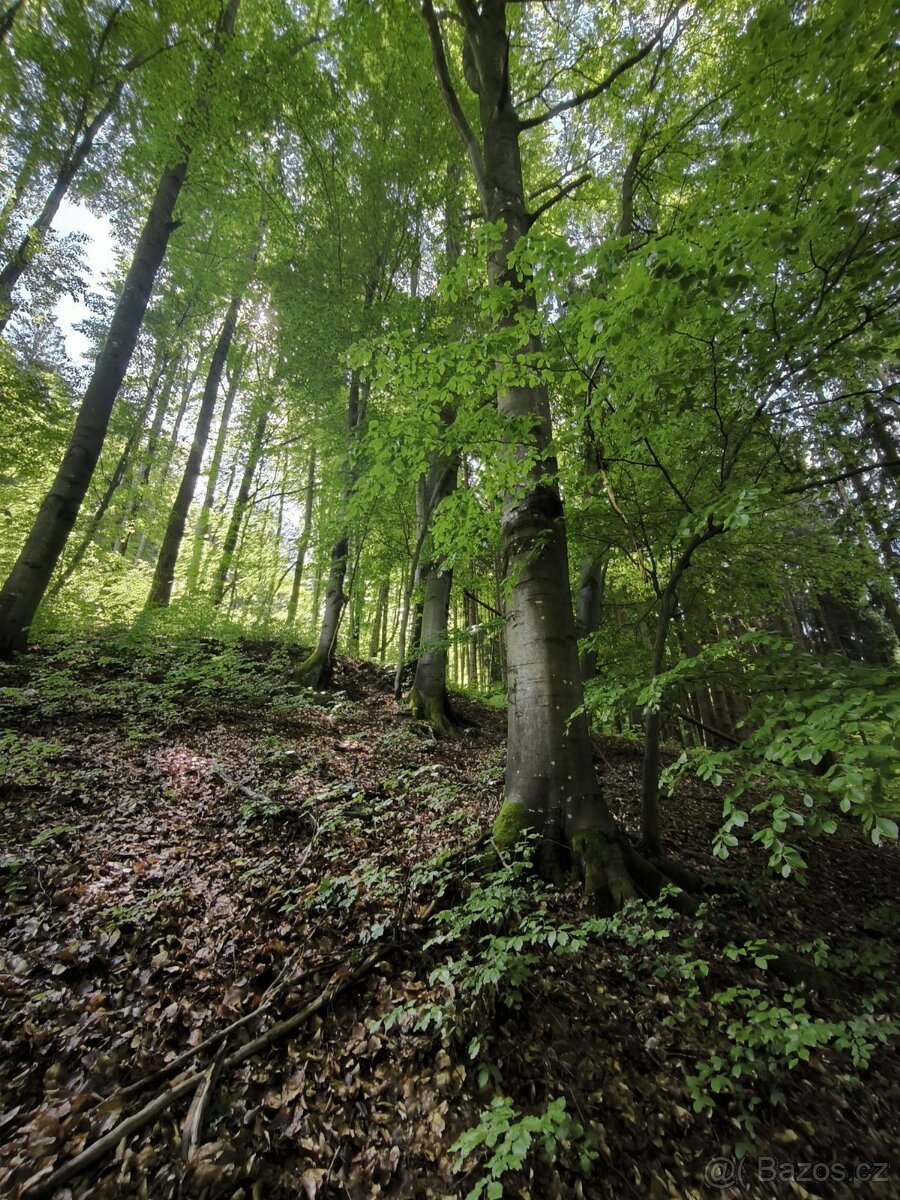 Prodej pozemků k.ú. Nový Hrozenkov