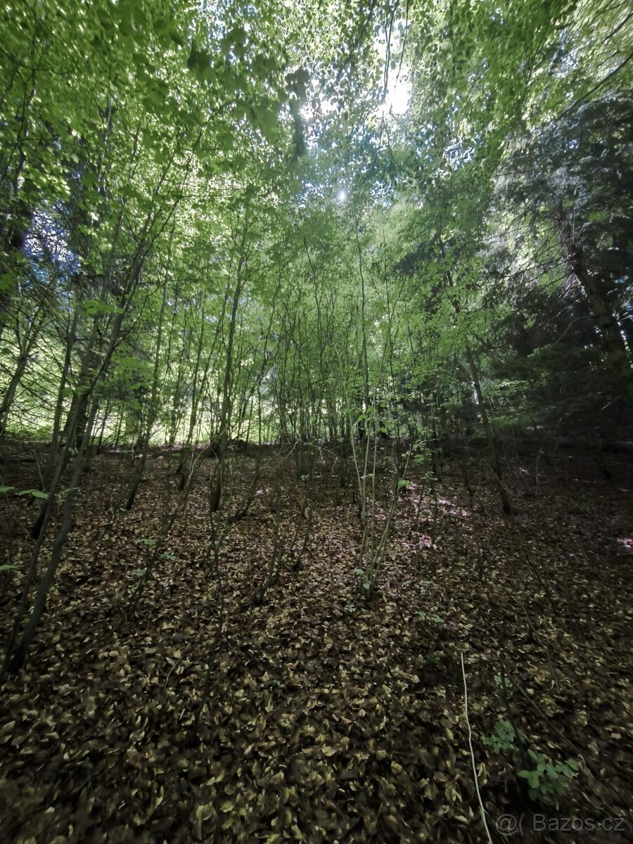 Prodej pozemků k.ú. Nový Hrozenkov