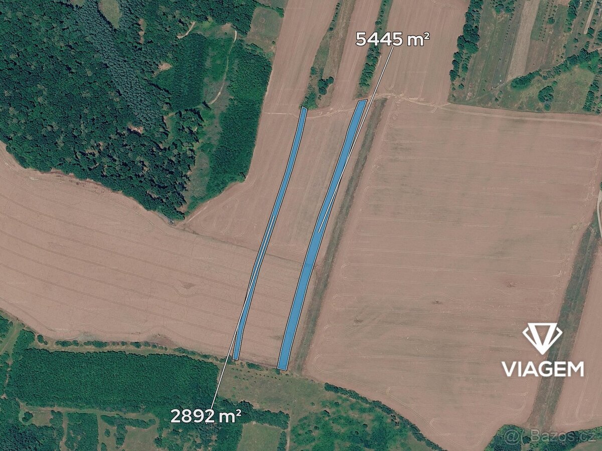 Pole 8 337 m², Podíl 53 % o výměře 4 446 m²