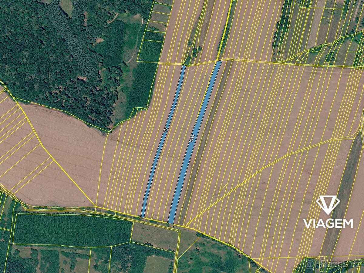 Pole 8 337 m², Podíl 53 % o výměře 4 446 m²