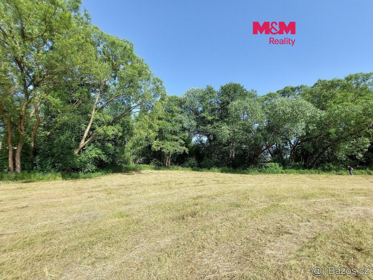 Prodej louky, 237 m², Pravonín