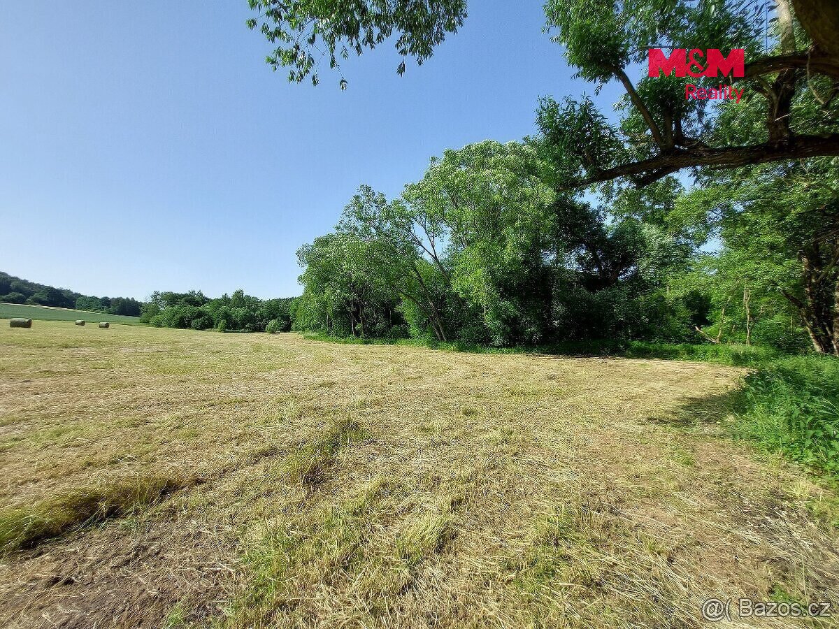 Prodej louky, 237 m², Pravonín