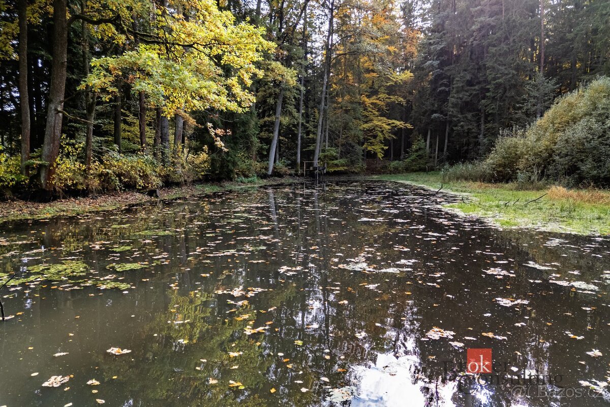 Prodej, pozemky/rybník, 64790 m2, Žíteč, Chlum u Třeboně, Ji