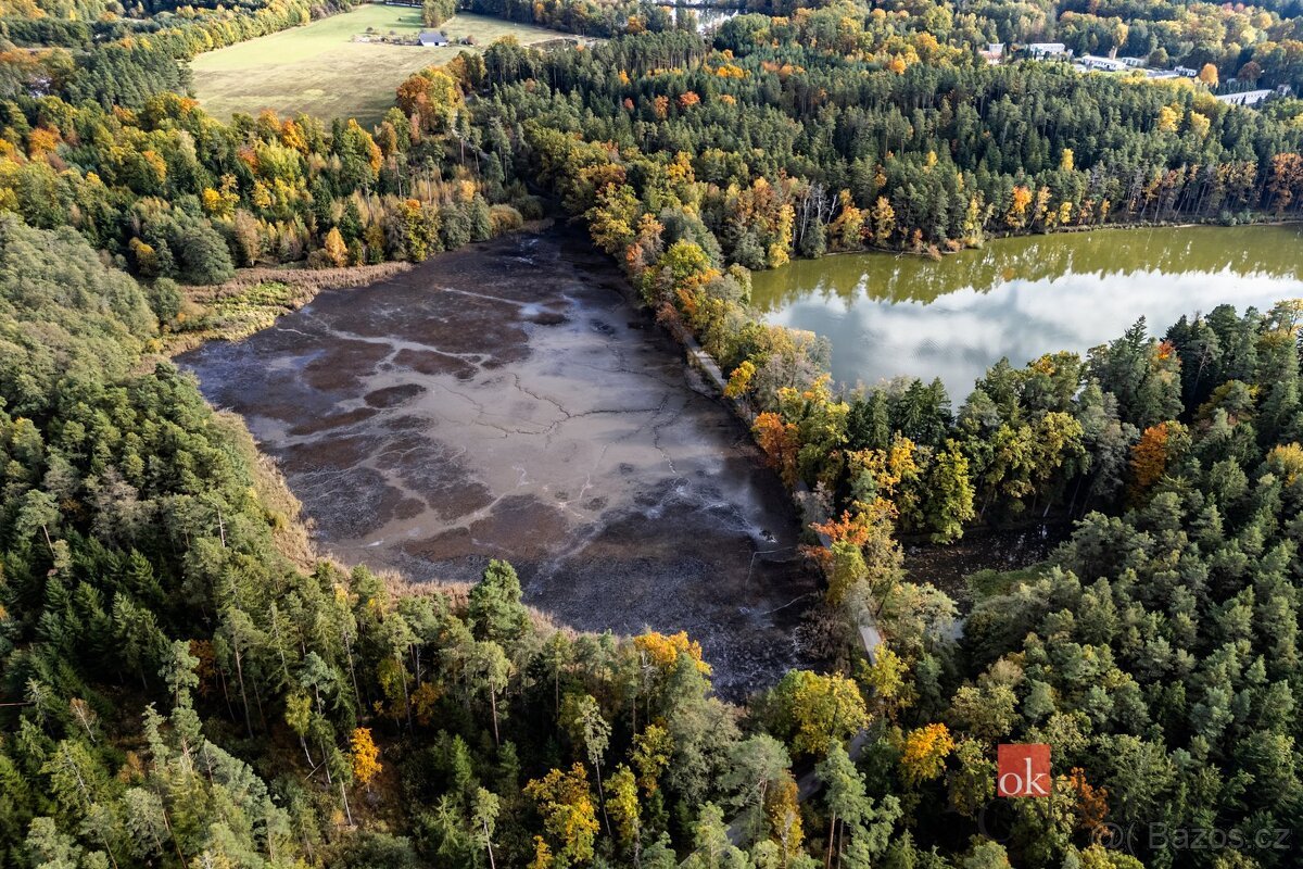 Prodej, pozemky/rybník, 64790 m2, Žíteč, Chlum u Třeboně, Ji