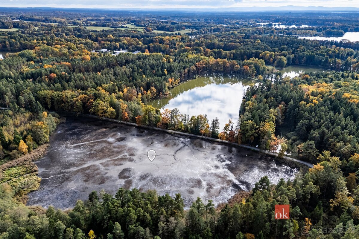 Prodej, pozemky/rybník, 64790 m2, Žíteč, Chlum u Třeboně, Ji
