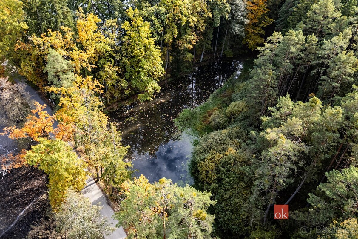 Prodej, pozemky/rybník, 64790 m2, Žíteč, Chlum u Třeboně, Ji