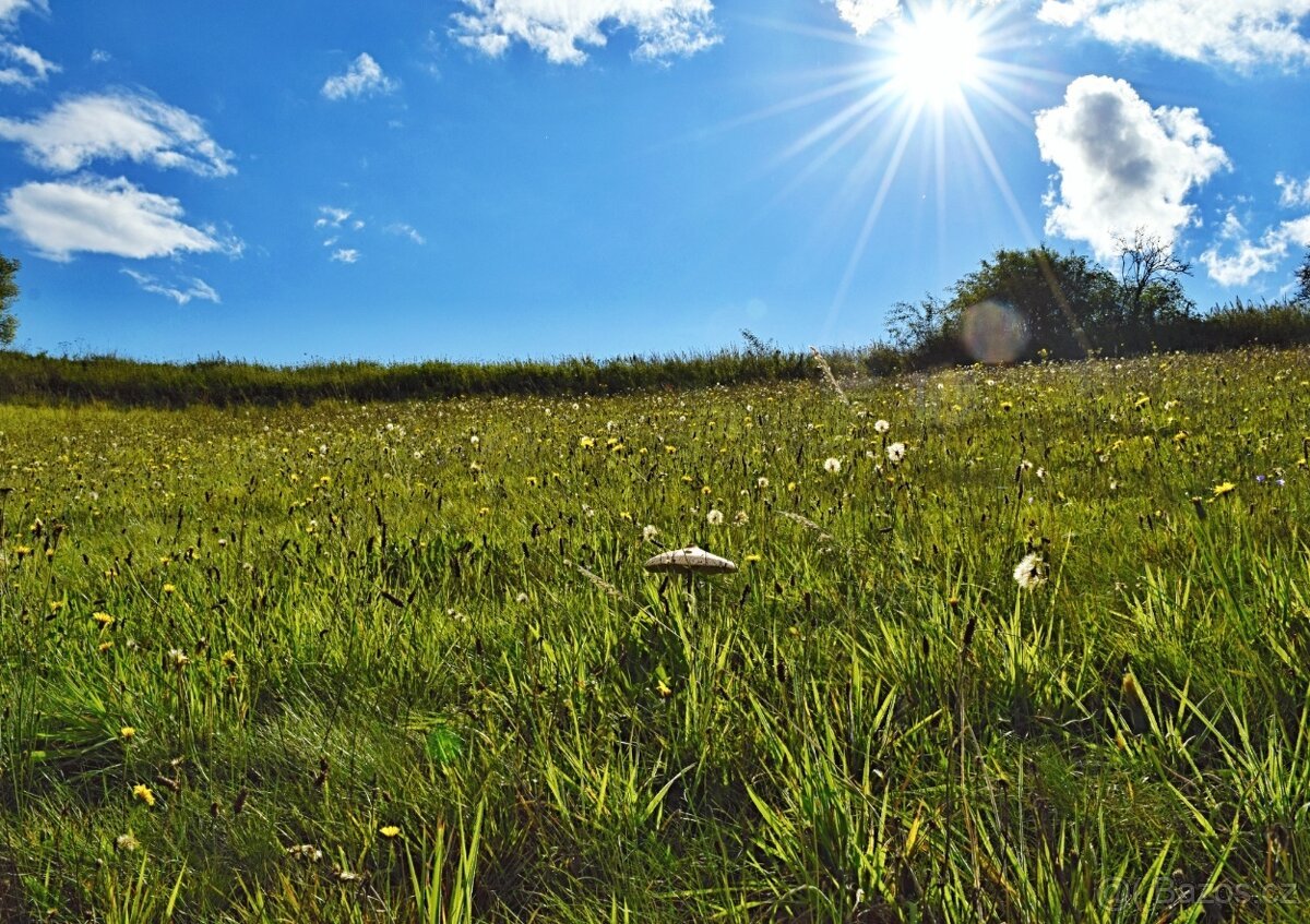 Pozemek na prodej - 2.169m2 - Hnátnice