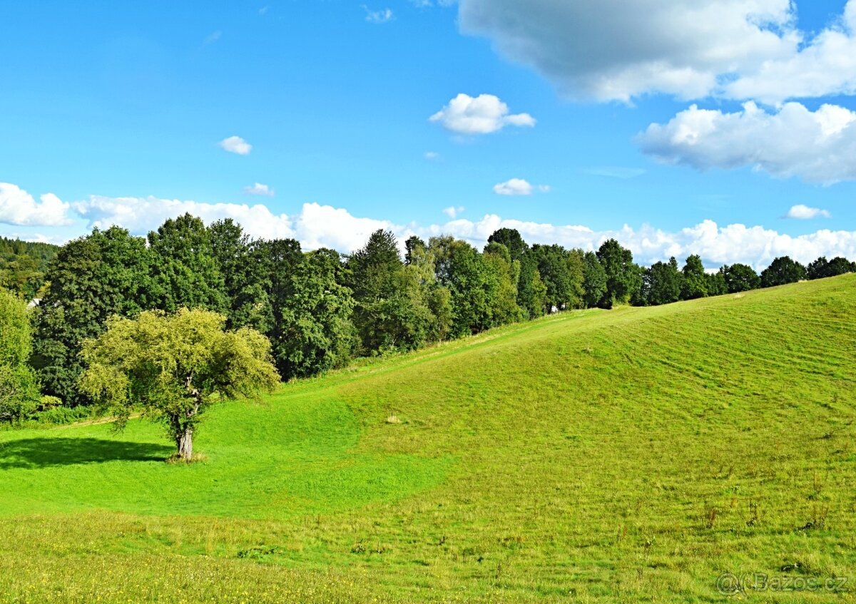 Pozemek na prodej - 2.169m2 - Hnátnice