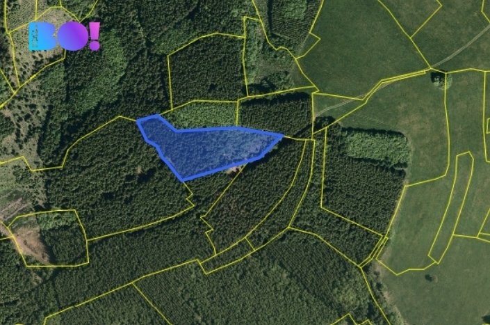 Prodej lesa, 6240 m2, Huslenky
