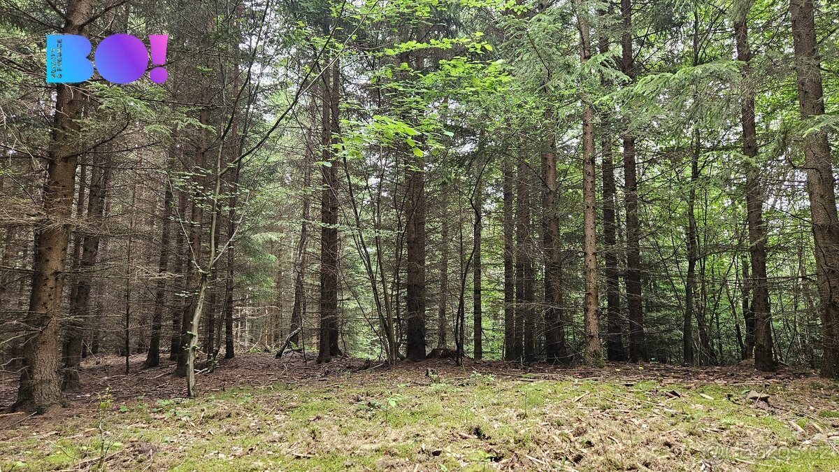 Prodej lesa, 6240 m2, Huslenky