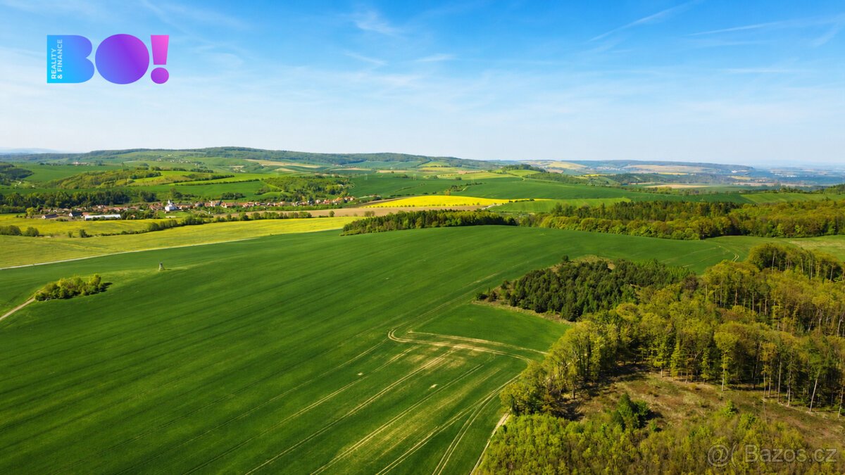 Prodej pozemku, Zástřizly