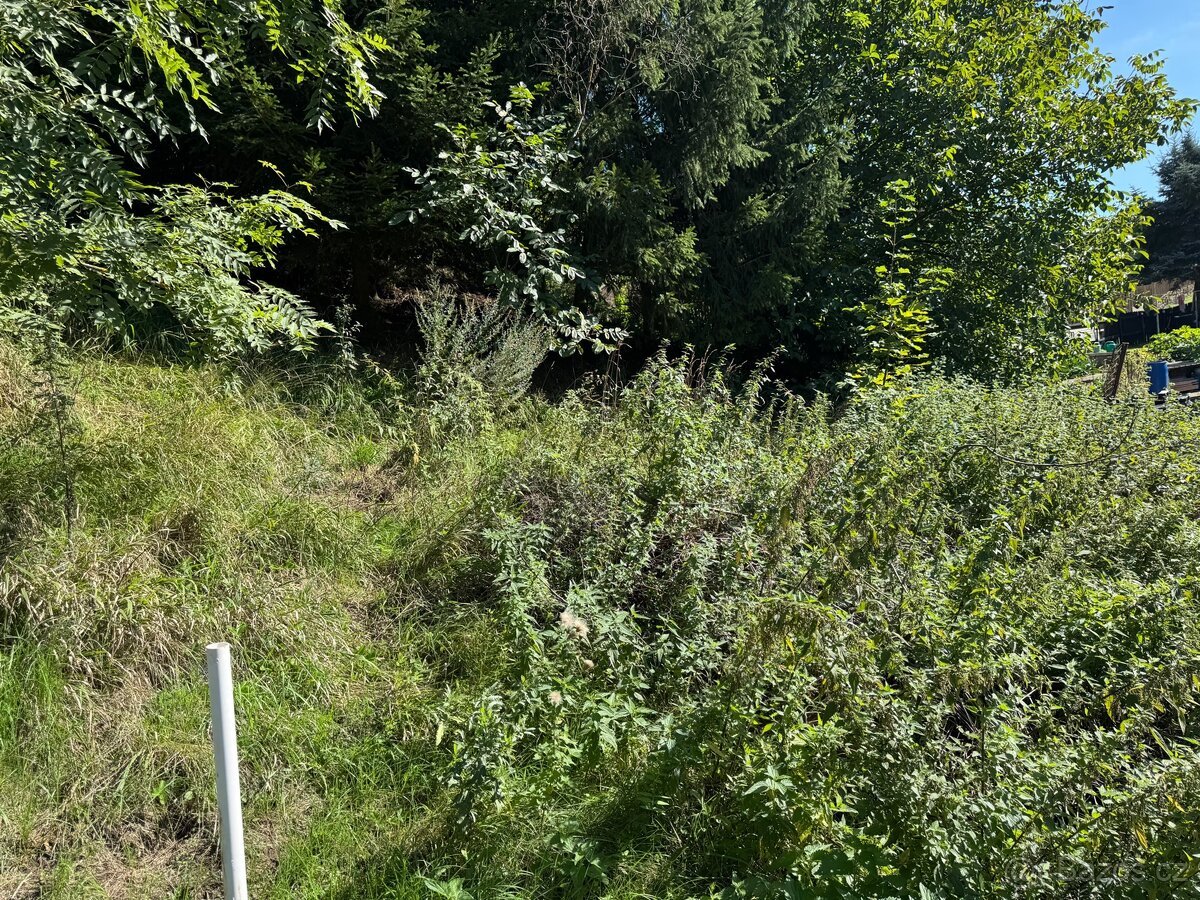 PRODEJ POZEMKU 1 664 m² – RYJICE, ÚSTÍ NAD LABEM