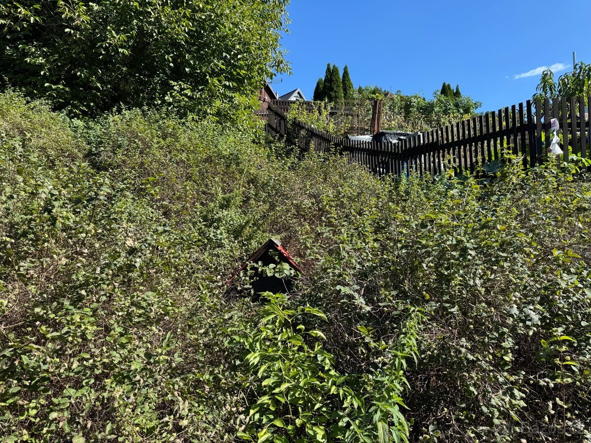 PRODEJ POZEMKU 1 664 m² – RYJICE, ÚSTÍ NAD LABEM