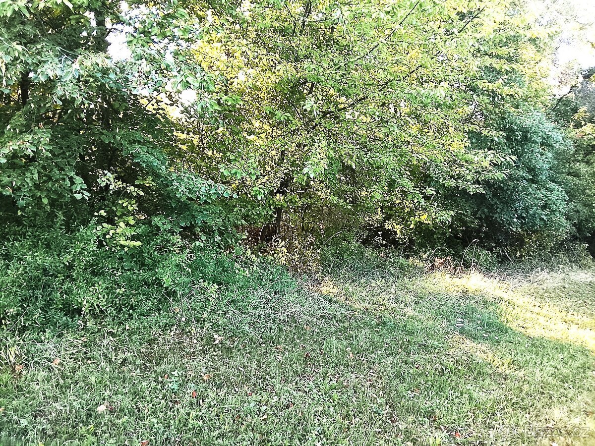 Pozemek ok Louny