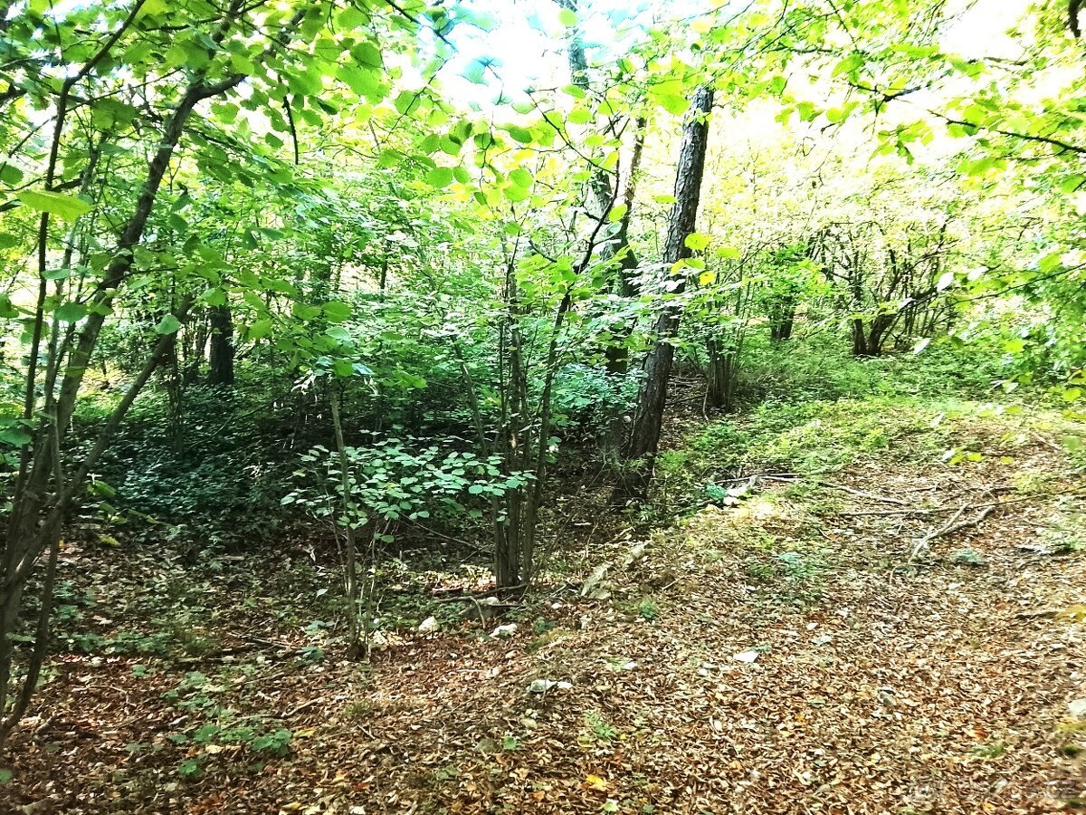 Pozemek ok Louny