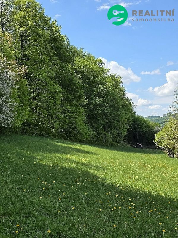 Podíl na lesních pozemcích Vsetín - Semetín