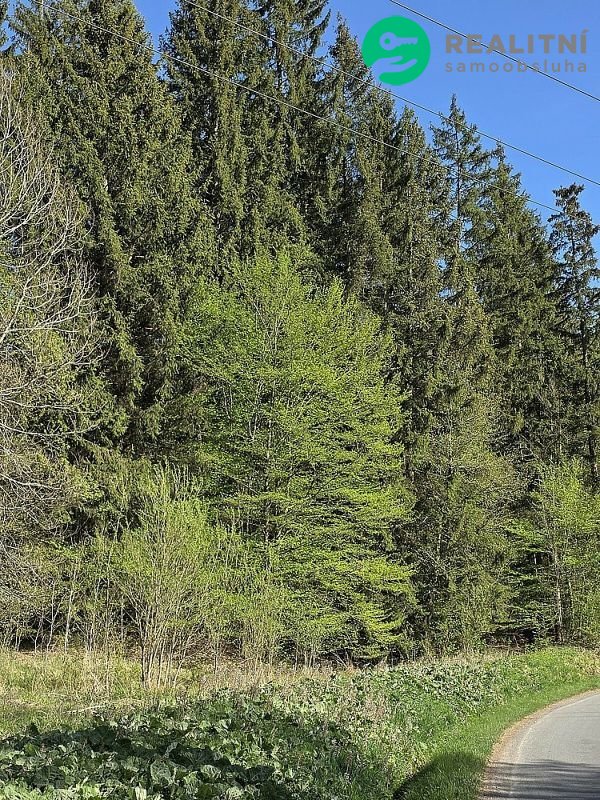 Podíl na lesních pozemcích Vsetín - Semetín