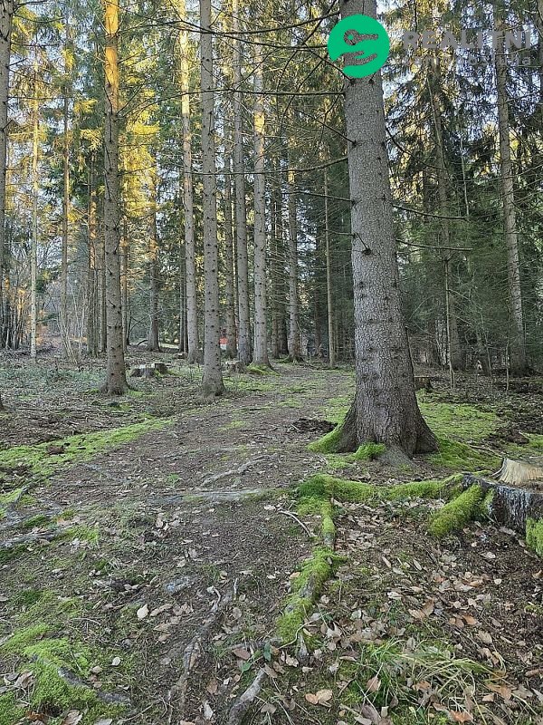 Podíl na lesních pozemcích Vsetín - Semetín