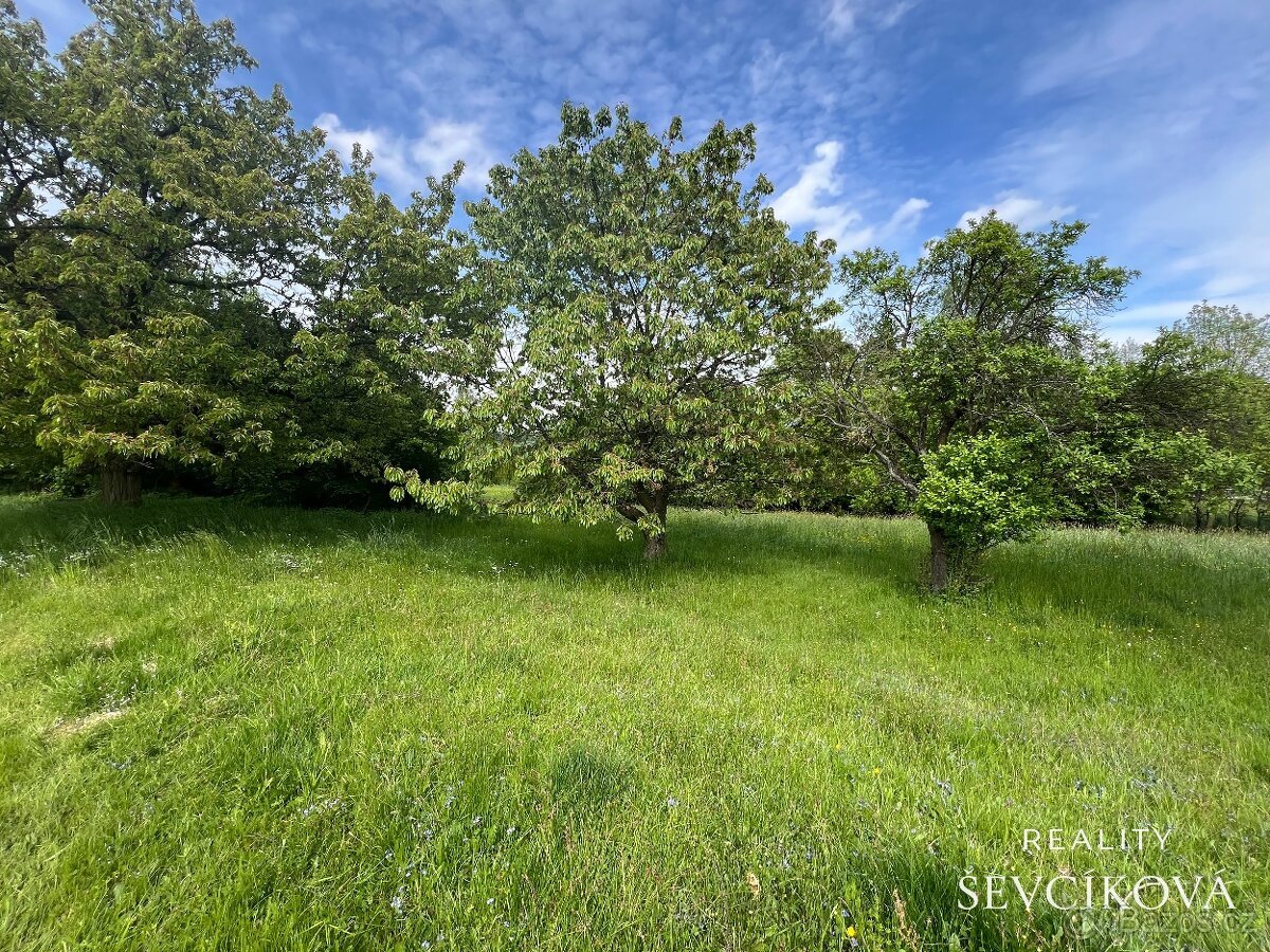 Pozemek vhodný i pro glamping či rekreaci, 2 371 m2