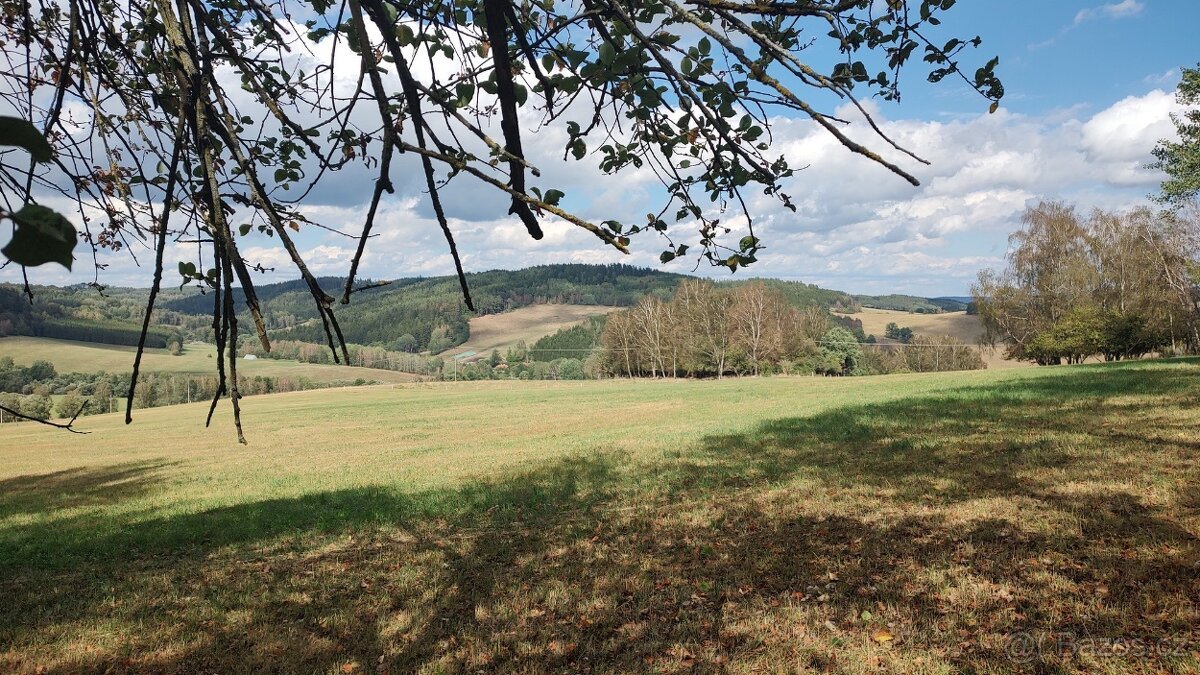 Prodej specifického pozemku 2.722 m², Hořice - Mýto