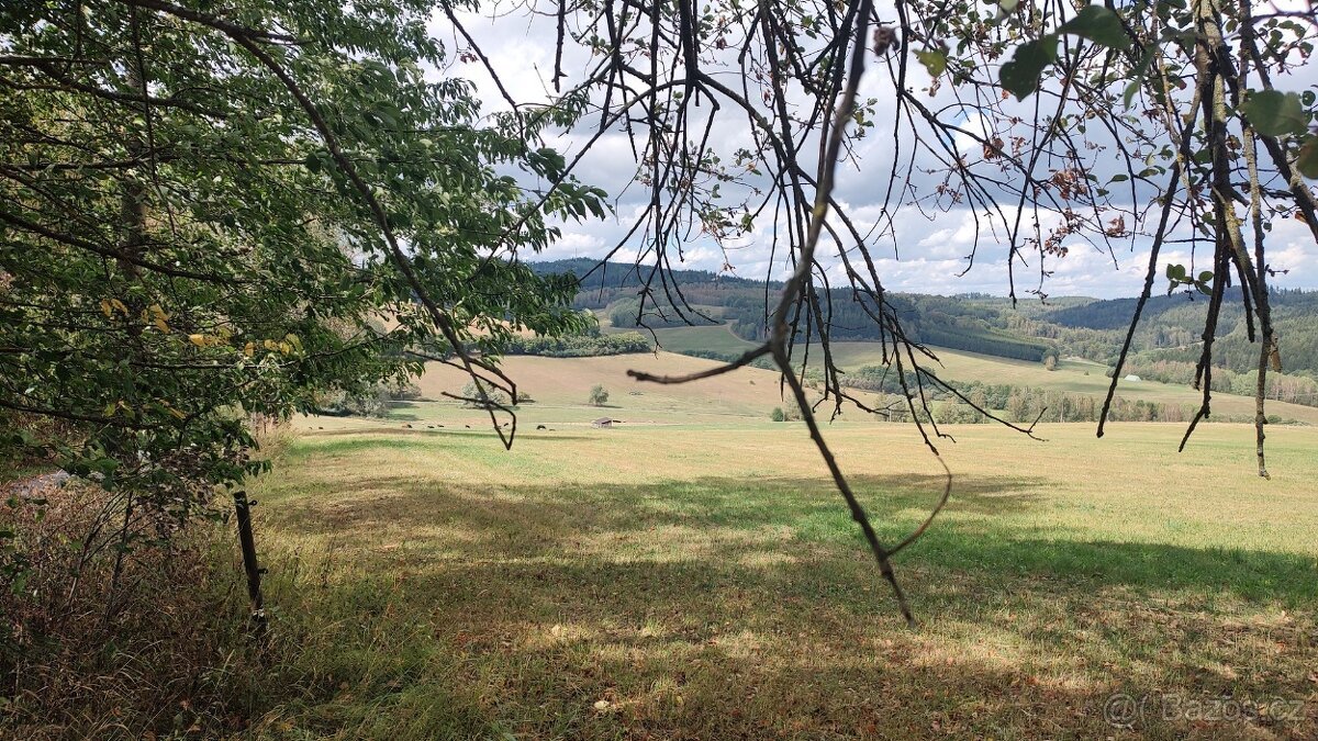 Prodej specifického pozemku 2.722 m², Hořice - Mýto