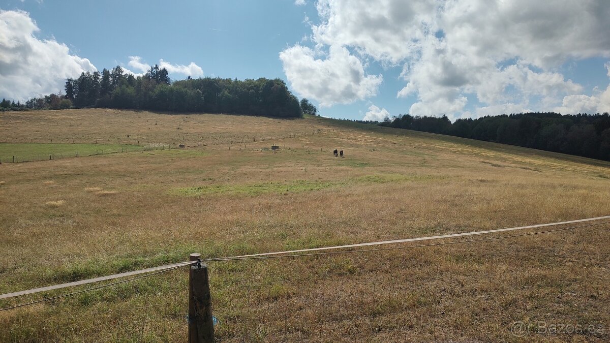 Prodej specifického pozemku 2.722 m², Hořice - Mýto