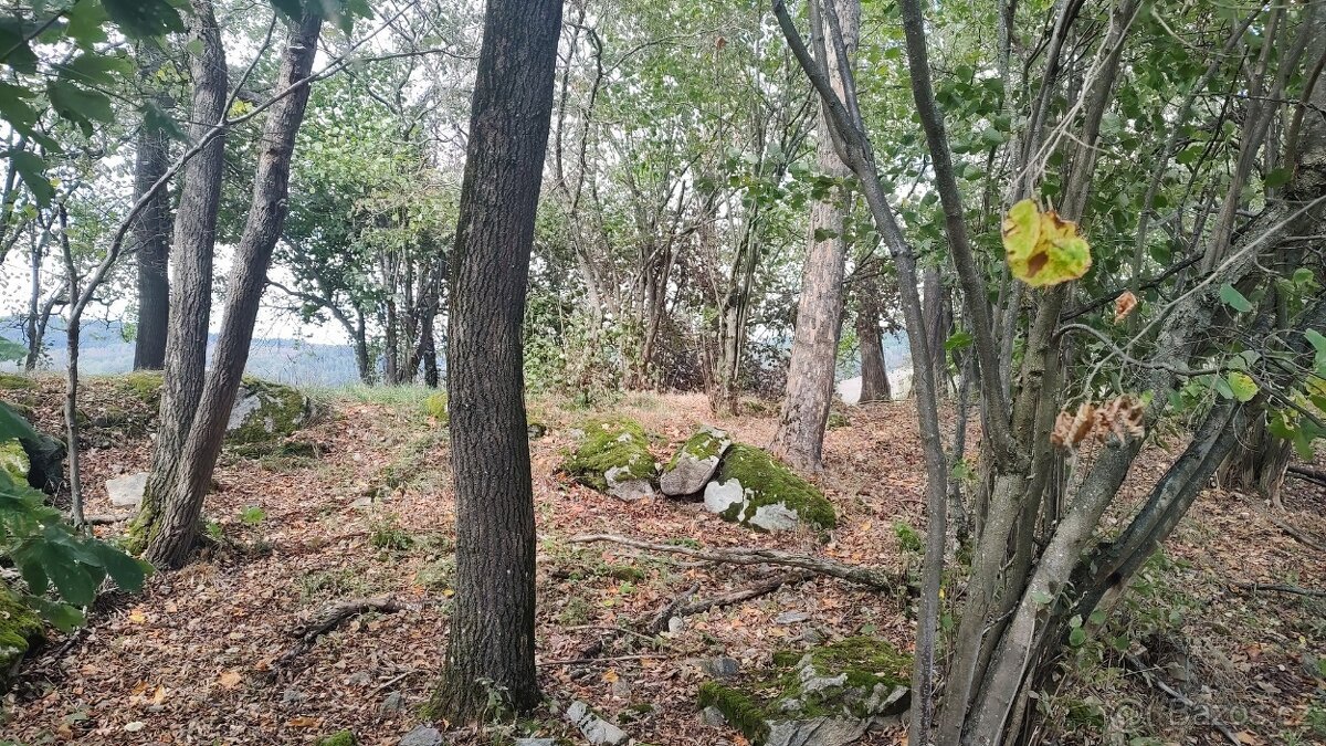 Prodej specifického pozemku 2.722 m², Hořice - Mýto