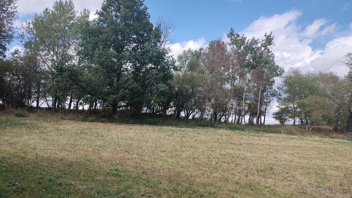 Prodej specifického pozemku 2.722 m², Hořice - Mýto