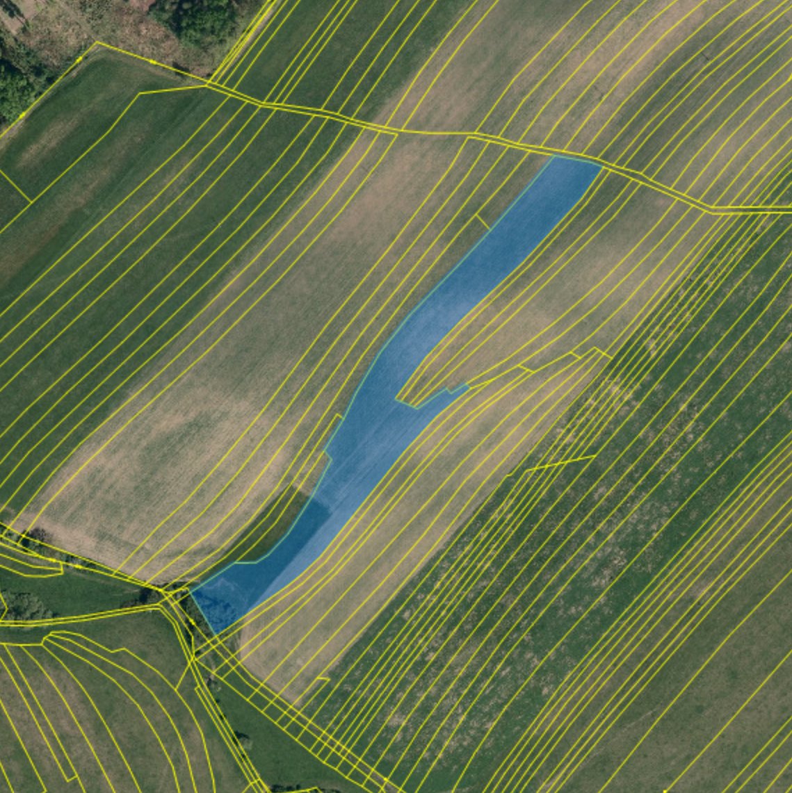 Prodej pozemeků Valašské Klobouky 7881m2