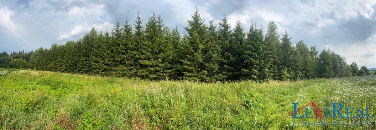 Prodej pozemků - trvalý travní porost, výměra 15.237 m2, Sta
