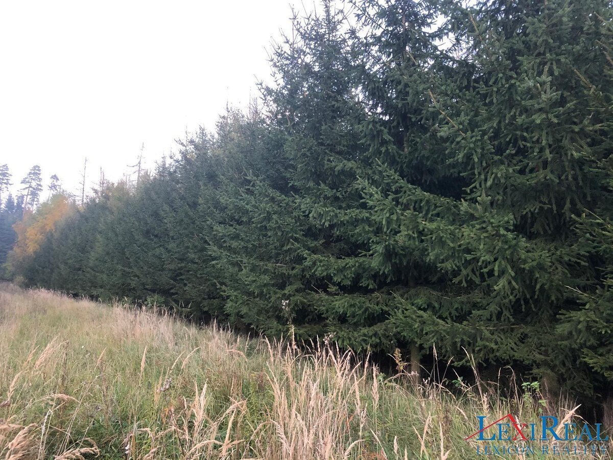 Prodej pozemků - trvalý travní porost, výměra 15.237 m2, Sta