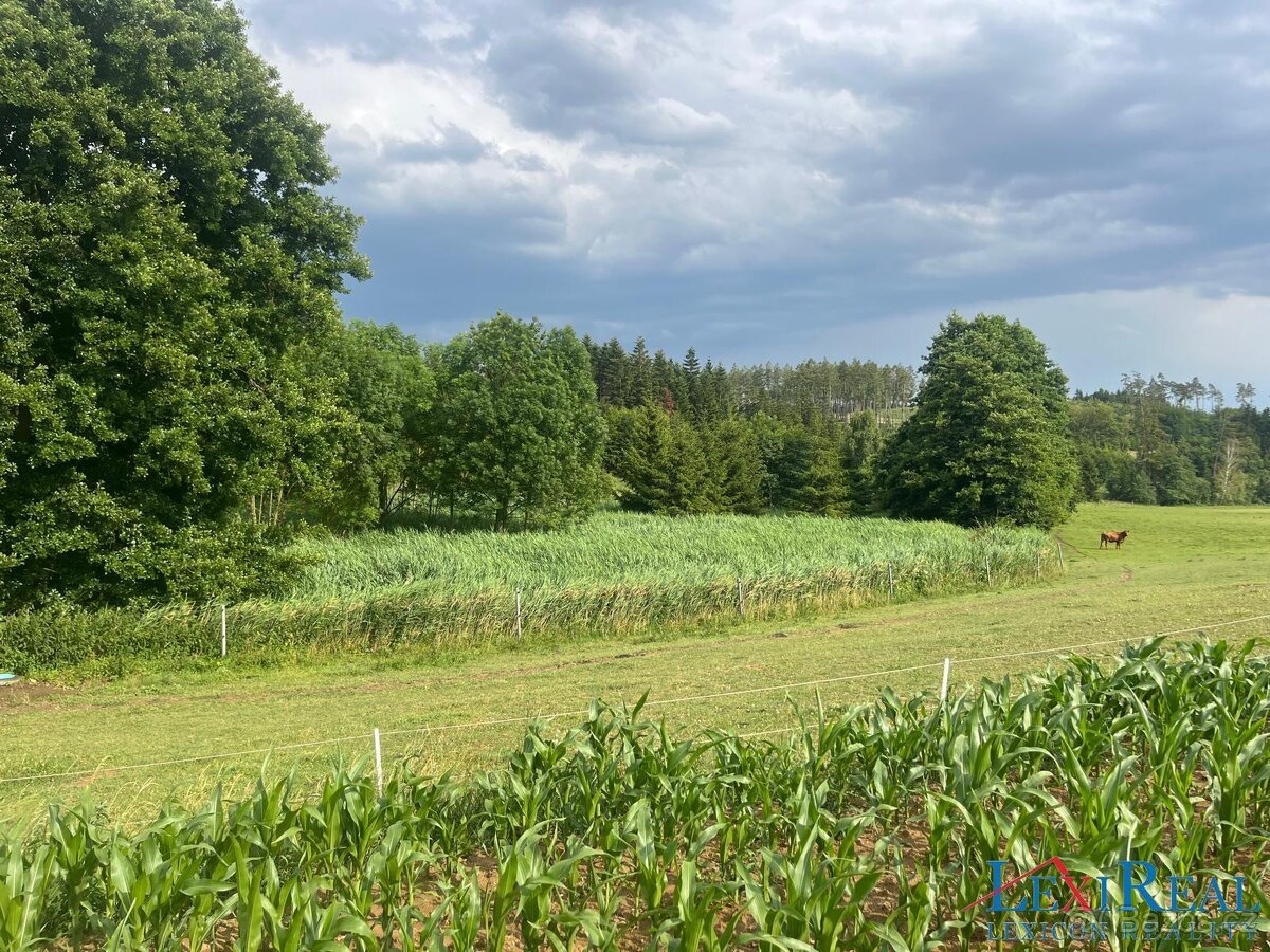 Prodej pozemků - trvalý travní porost, výměra 15.237 m2, Sta