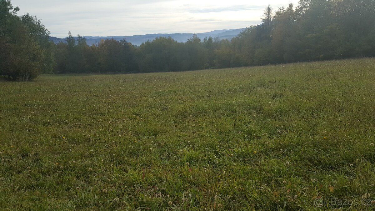 Prodám louku 5800m2