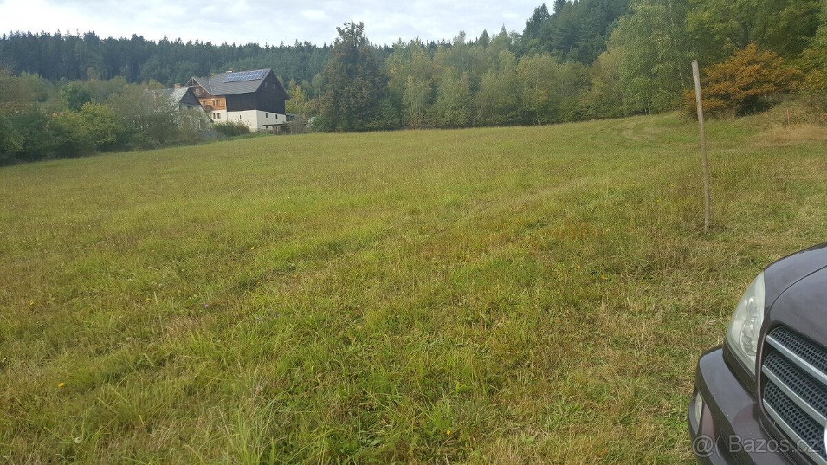 Prodám louku 5800m2