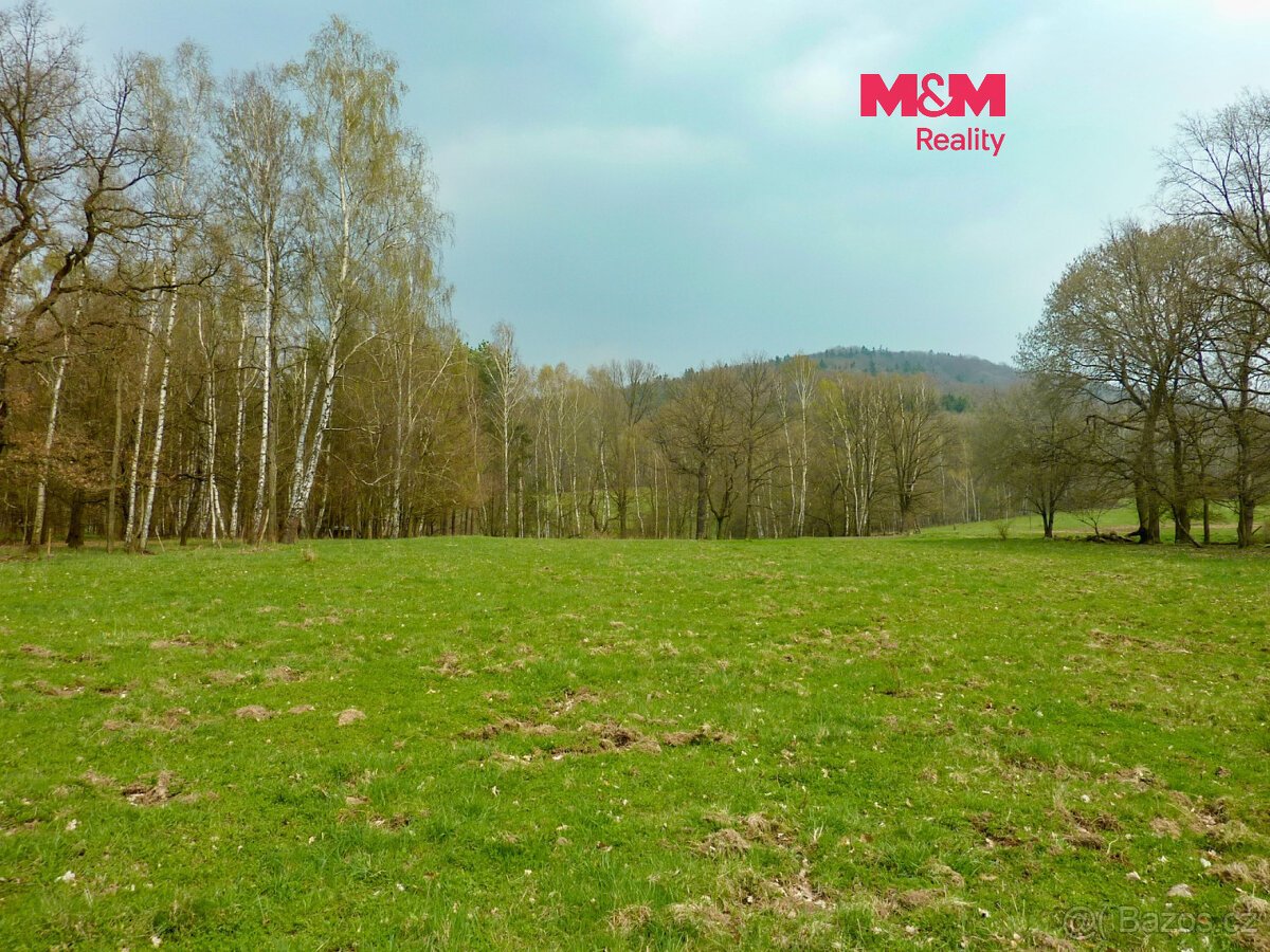 Prodej louky, 55278 m², Stružnice, okres Česká Lípa