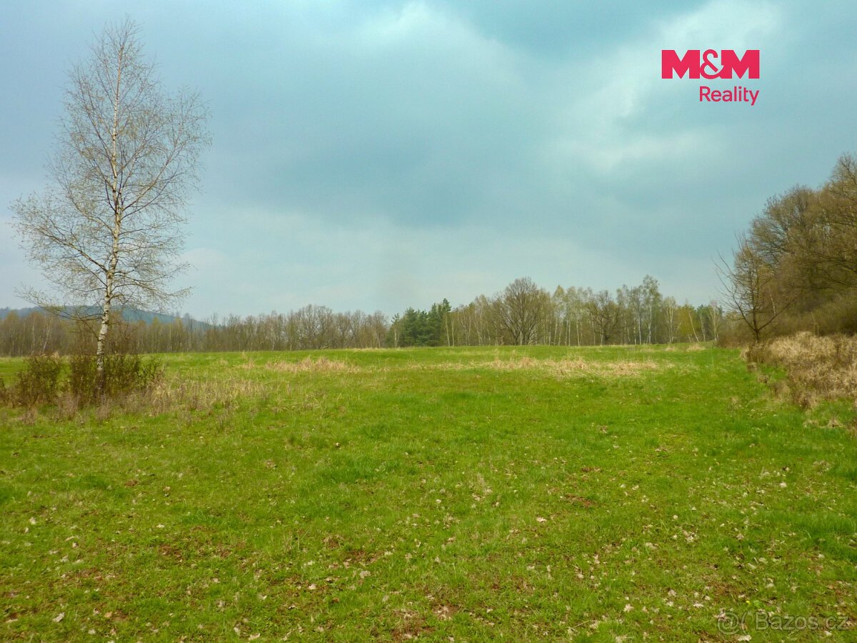 Prodej louky, 55278 m², Stružnice, okres Česká Lípa