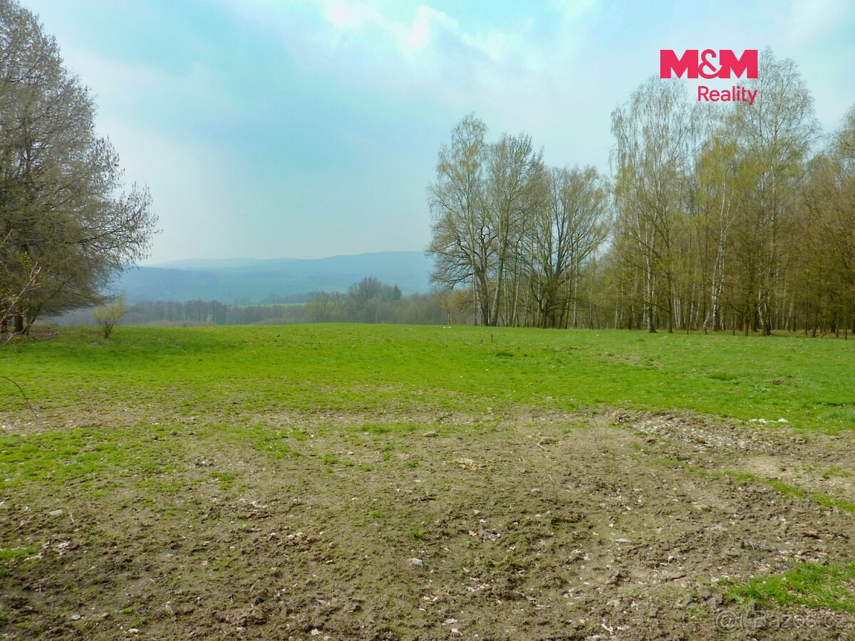 Prodej louky, 55278 m², Stružnice, okres Česká Lípa