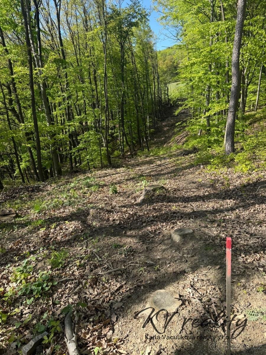 Prodej les, CP 3320 m2, Hřivínův Újezd
