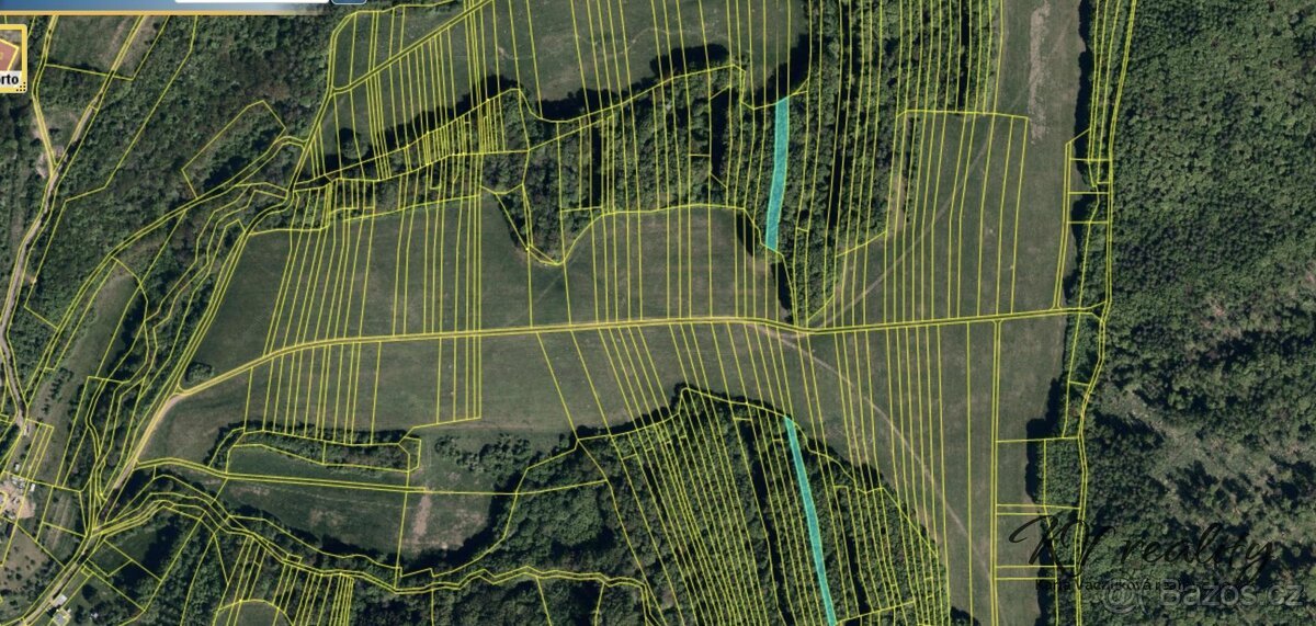 Prodej les, CP 3320 m2, Hřivínův Újezd