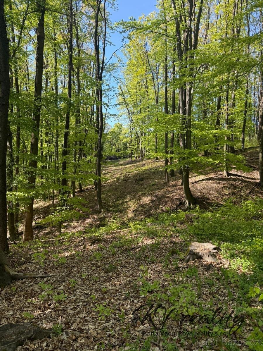 Prodej les, CP 3320 m2, Hřivínův Újezd