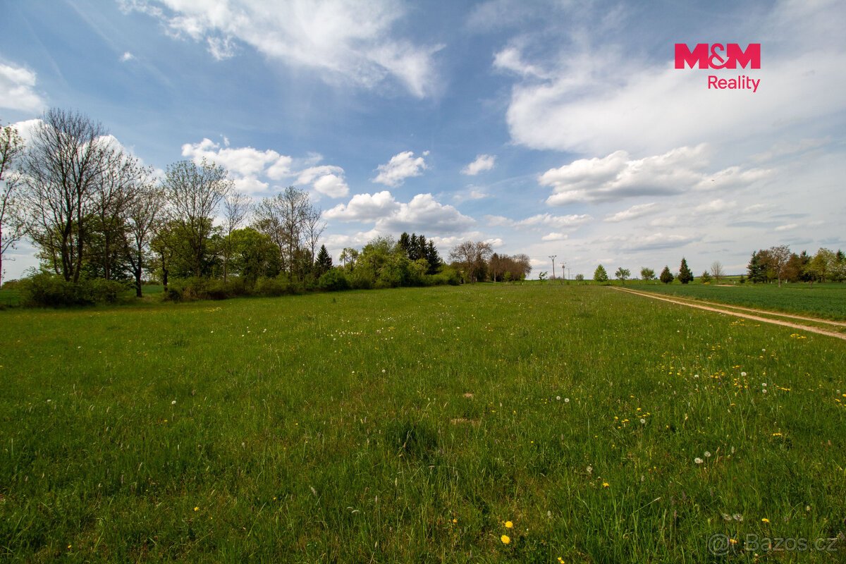 Prodej pozemku k bydlení, 8048 m², Břežany u Rakovníka